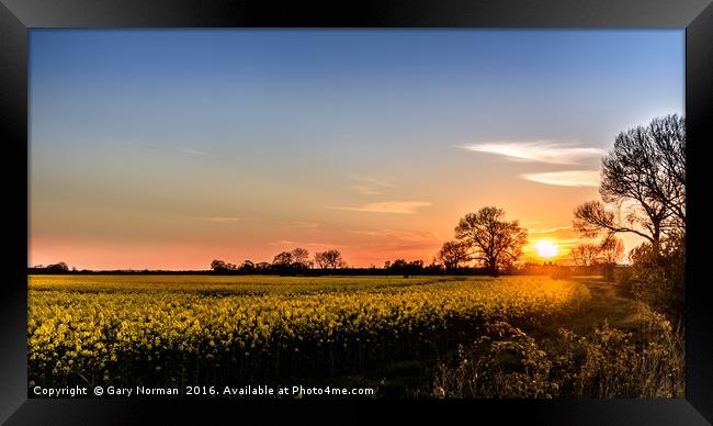 Spring Sunset Over the Rapeseed Field Framed Print by Gary Norman