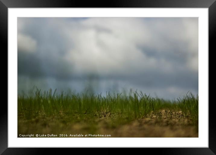 Field Of Focus Framed Mounted Print by Luke Dufton