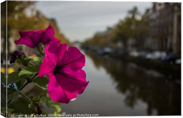 A flower on the Amsterdam Canal  Canvas Print by Luke Dufton
