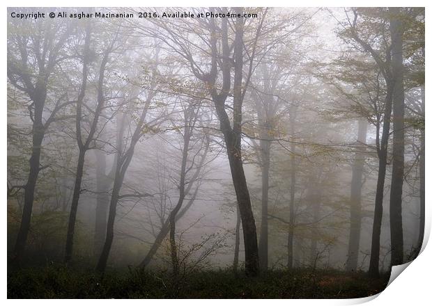 Trees on a misty day (Revised) Print by Ali asghar Mazinanian