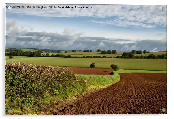 Halberton Farmland Acrylic by Pete Hemington