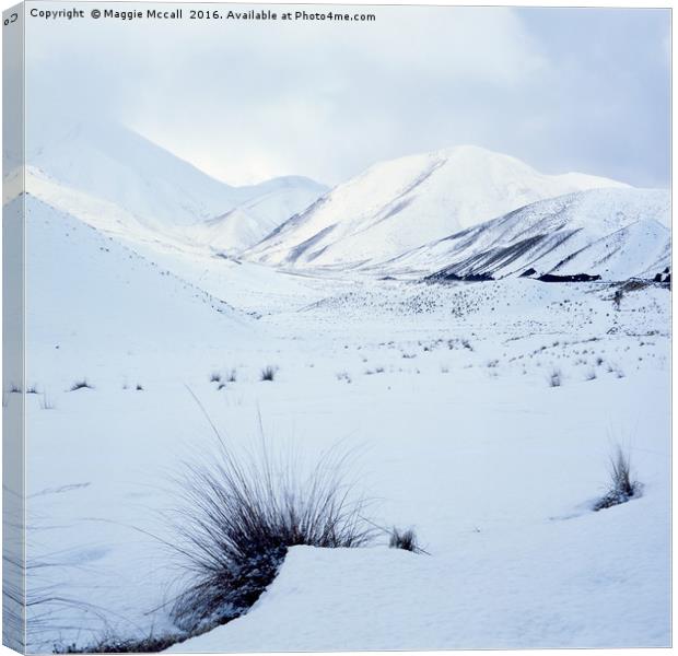 Lindis Pass, South Island, New Zealand Canvas Print by Maggie McCall