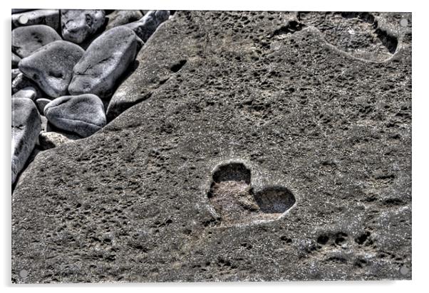 Love on the rocks Acrylic by Andreas Hartmann