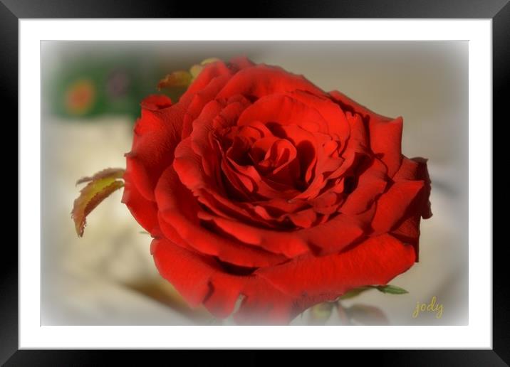 Red Red Rose Framed Mounted Print by Pics by Jody Adams