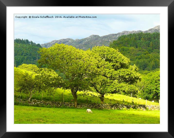 Welsh Scenery - Another Version Framed Mounted Print by Gisela Scheffbuch