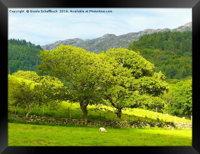 Welsh Scenery - Another Version Framed Print by Gisela Scheffbuch