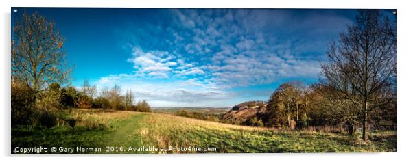 Sharpenhoe Clappers Panorama Acrylic by Gary Norman