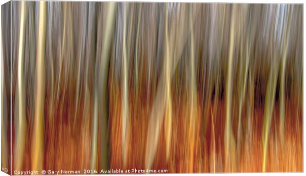 Blurred Trees Canvas Print by Gary Norman