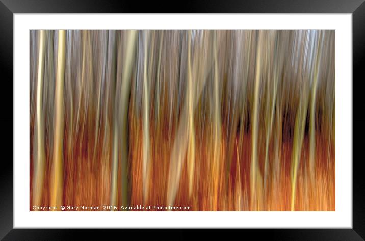 Blurred Trees Framed Mounted Print by Gary Norman