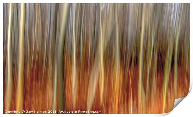 Blurred Trees Print by Gary Norman
