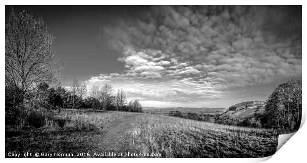 Sharpenhoe Clappers Black and White Print by Gary Norman