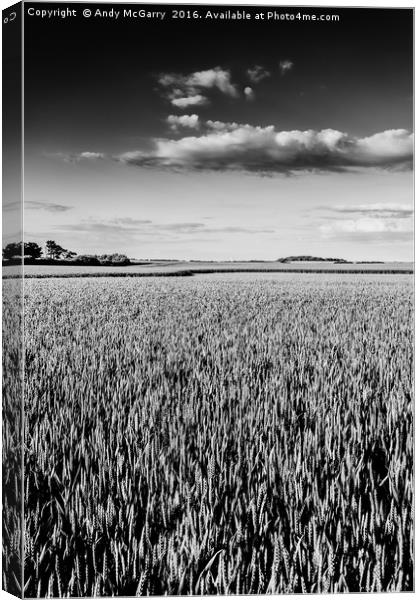 Flamborough Head Wheat Fields Canvas Print by Andy McGarry