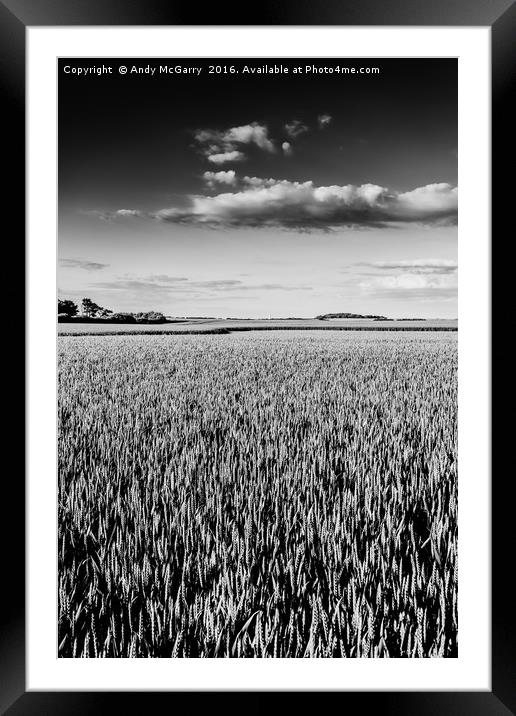 Flamborough Head Wheat Fields Framed Mounted Print by Andy McGarry