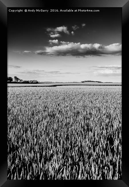 Flamborough Head Wheat Fields Framed Print by Andy McGarry