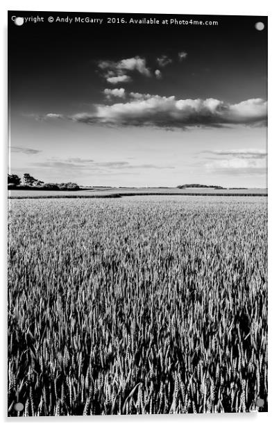 Flamborough Head Wheat Fields Acrylic by Andy McGarry