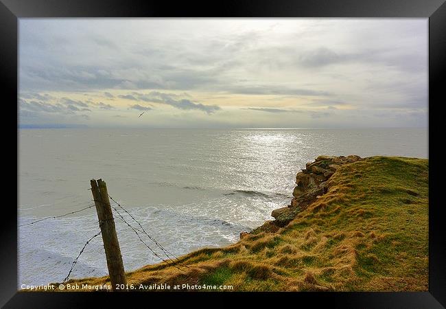 Flying Free Framed Print by Bob Morgans