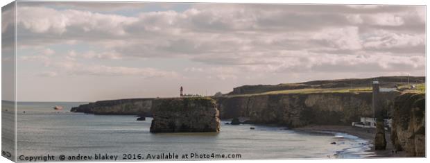 Panorama of Marsden Bay and Lizard point Canvas Print by andrew blakey