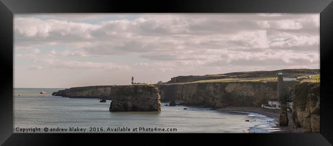 Panorama of Marsden Bay and Lizard point Framed Print by andrew blakey