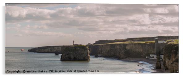 Panorama of Marsden Bay and Lizard point Acrylic by andrew blakey
