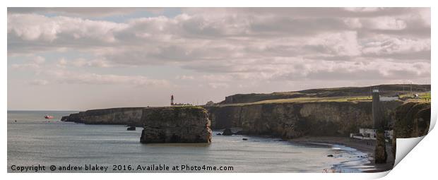 Panorama of Marsden Bay and Lizard point Print by andrew blakey