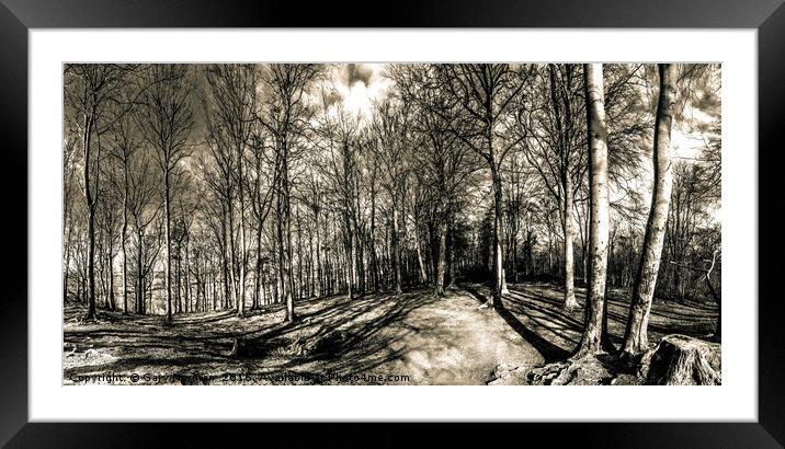 Woodland Clearing Framed Mounted Print by Gary Norman