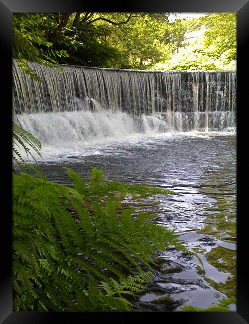 Weir at work Framed Print by Dave Sleet