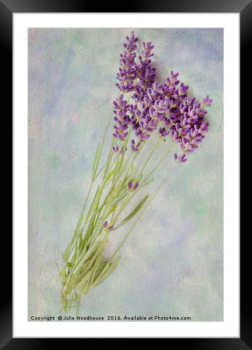 Lavender flowers Framed Mounted Print by Julie Woodhouse