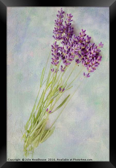 Lavender flowers Framed Print by Julie Woodhouse