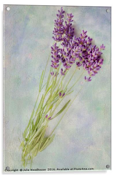 Lavender flowers Acrylic by Julie Woodhouse