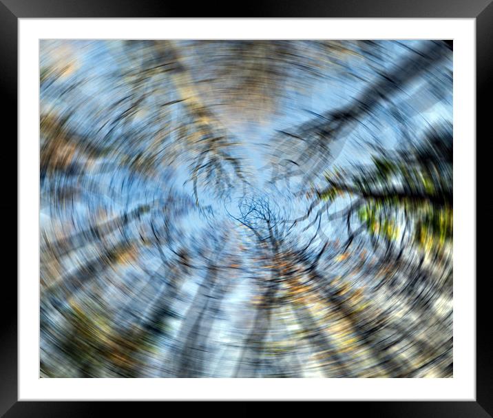 Tree swirl  Framed Mounted Print by Shaun Jacobs