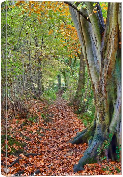 Autumnal walk Canvas Print by Rob Mcewen