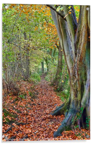 Autumnal walk Acrylic by Rob Mcewen