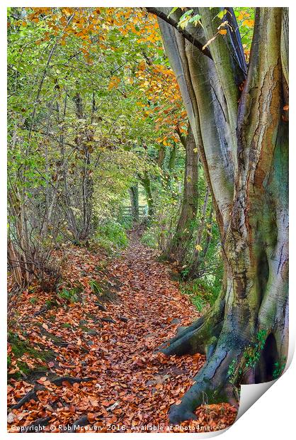 Autumnal walk Print by Rob Mcewen