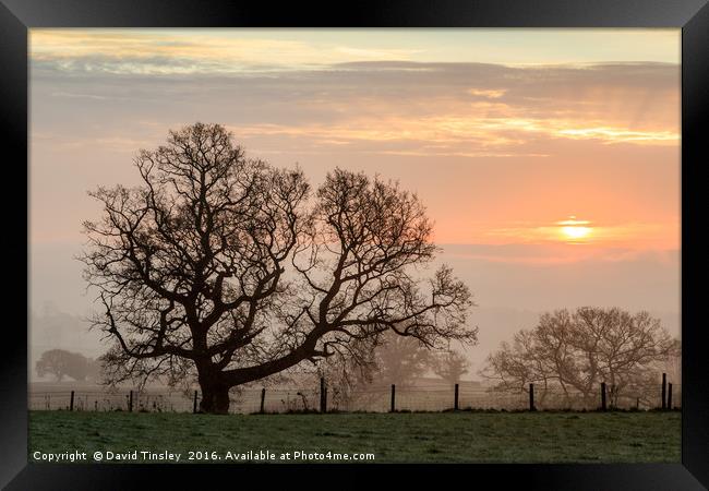 Winter Sunrise Framed Print by David Tinsley