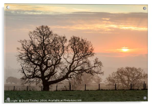 Winter Sunrise Acrylic by David Tinsley