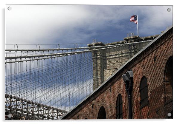 Brooklyn bridge Acrylic by Tom Hall