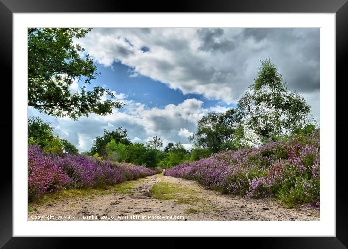 Top Path on Broxhead common  ,Hampshire Framed Mounted Print by Mark  F Banks