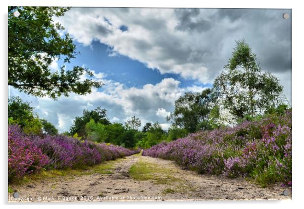 Top Path on Broxhead common  ,Hampshire Acrylic by Mark  F Banks