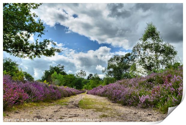 Top Path on Broxhead common  ,Hampshire Print by Mark  F Banks