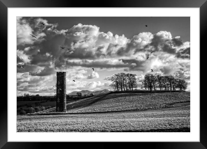 Cammo Tower - B&W Framed Mounted Print by Tom Gomez