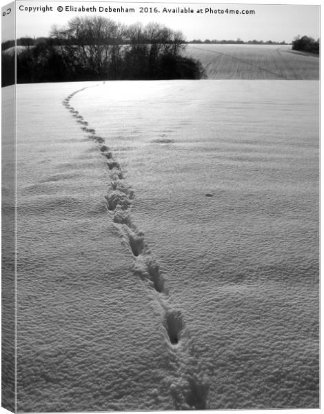 Footprints in the Snow Canvas Print by Elizabeth Debenham