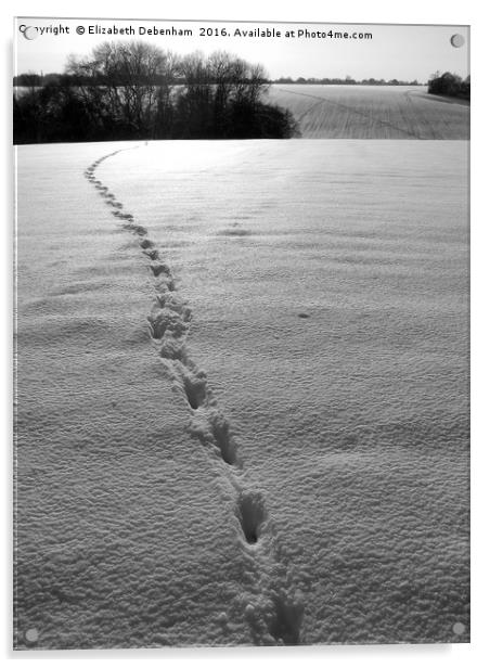 Footprints in the Snow Acrylic by Elizabeth Debenham