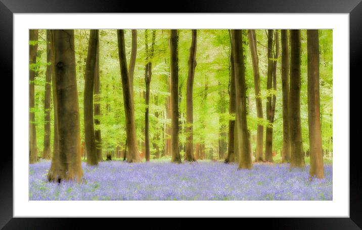 Serenity Framed Mounted Print by Peter Walmsley