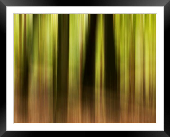 Woodland motion blur  Framed Mounted Print by Shaun Jacobs