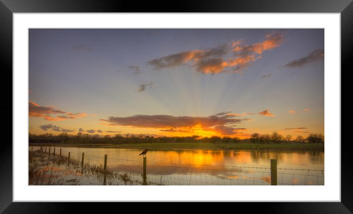 Evening sunset over wildlife reserve Framed Mounted Print by John Allsop