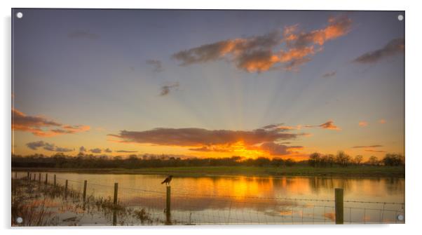 Evening sunset over wildlife reserve Acrylic by John Allsop
