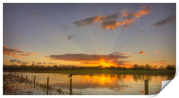 Evening sunset over wildlife reserve Print by John Allsop
