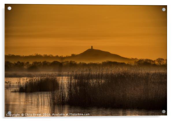 The Tor across the reserve Acrylic by Chris Sweet