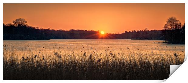 Sunset at Virginia Water Print by Peter Walmsley