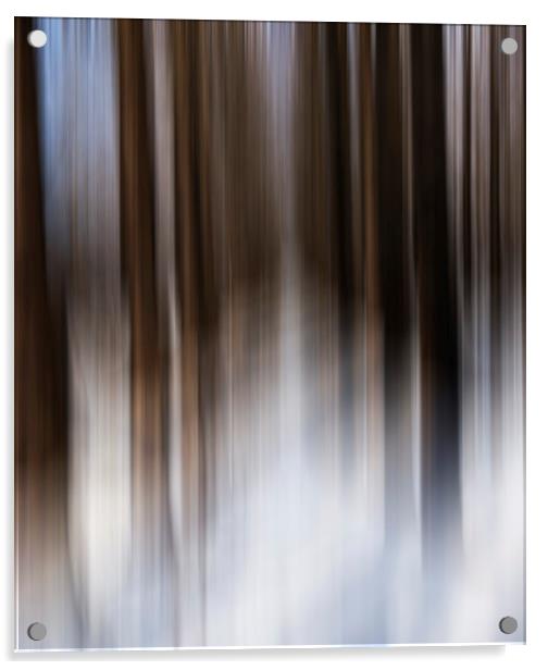 Motion blur  Acrylic by Shaun Jacobs